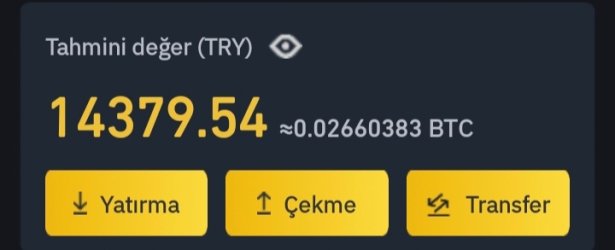 Screenshot_20220221-085952_Binance TR.jpg