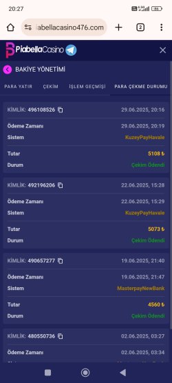 Screenshot_2025-06-29-20-27-12-382_com.android.chrome.jpg