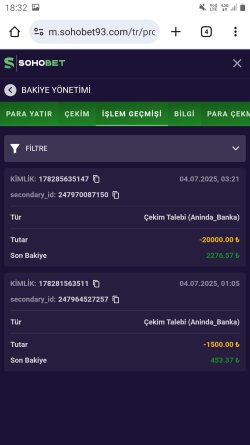 Screenshot_20250704-183211_Chrome.jpg