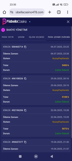 Screenshot_2025-07-06-23-30-38-644_com.android.chrome.jpg