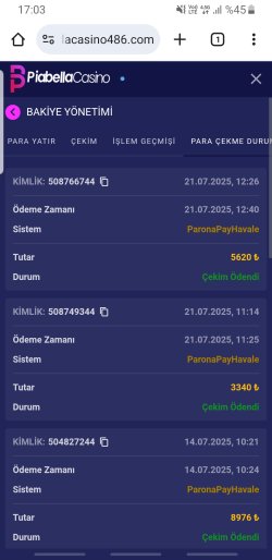 Screenshot_20250721-170347_Chrome.jpg